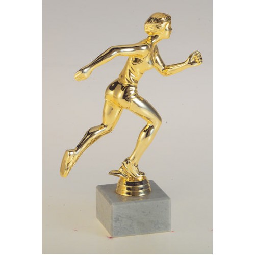 ΤΡΟΠΑΙΟ 7462 26cm