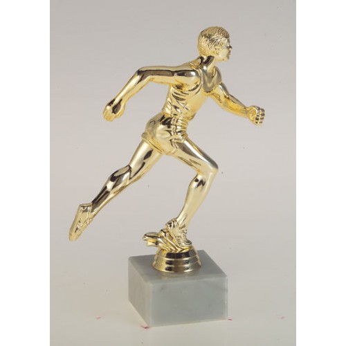 ΤΡΟΠΑΙΟ 7463 26cm