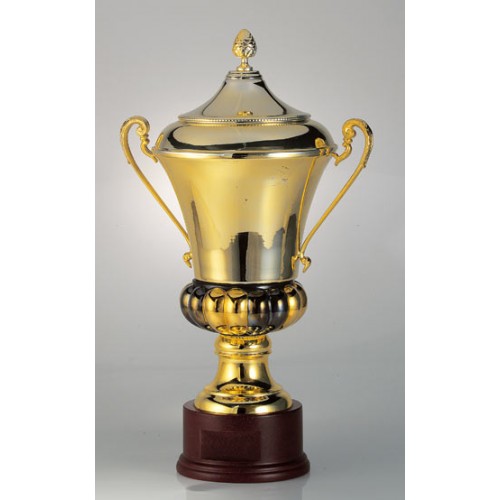 ΚΥΠΕΛΛΟ 6130 -50%