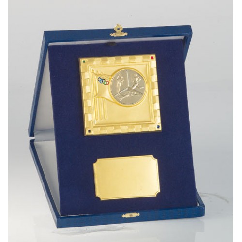 ΚΑΣΕΤΙΝΑ 8173 21x26cm