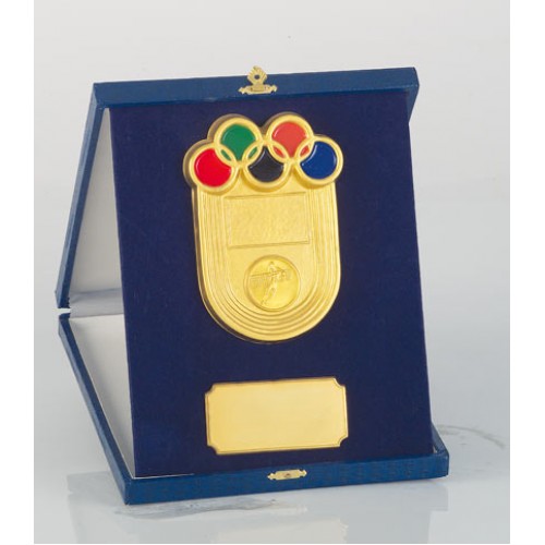 ΚΑΣΕΤΙΝΑ 8177 21x26cm