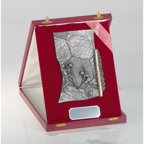 ΚΑΣΕΤΙΝΑ 8196 -25%