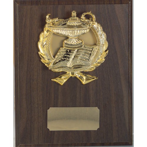 ΞΥΛΟ 8570 20x25cm -30%