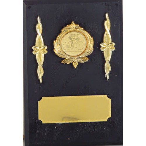 ΠΛΑΚΕΤΑ ΣΕ ΞΥΛΟ 8666 10x15cm