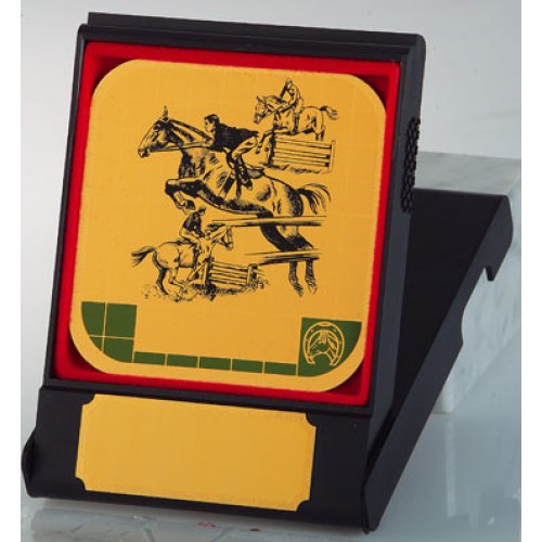  ΚΑΣΕΤΙΝΑ 8746 9x12cm -25%