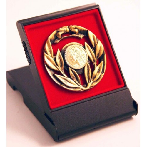 ΚΑΣΕΤΙΝΑ 9879 9x12cm