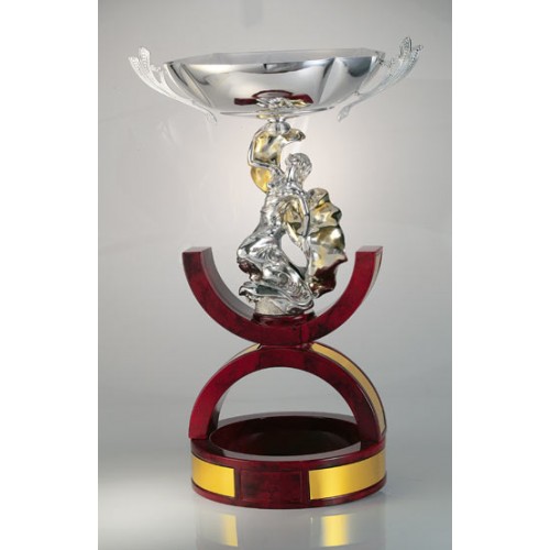 ΤΡΟΠΑΙΟ 6003 72cm -60%