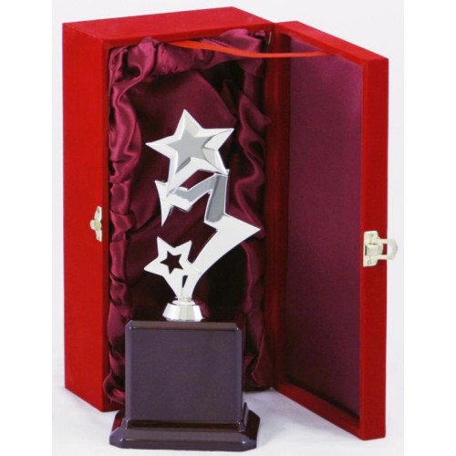 ΤΡΟΠΑΙΟ 153 14x28cm