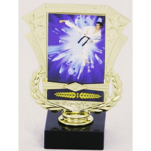 ΤΡΟΠΑΙΟ 2347 15cm