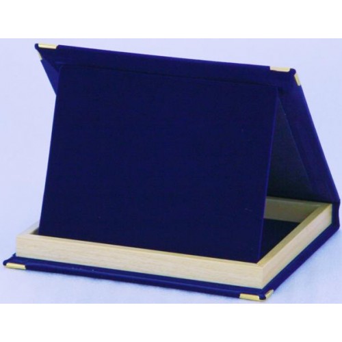 ΚΑΣΕΤΙΝΑ ΒΕΛΟΥΔΙΝΗ 4203 