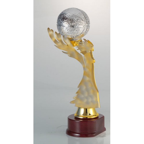 ΤΡΟΠΑΙΟ 6043 42cm -65%