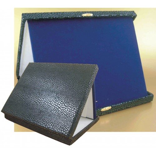 ΚΑΣΕΤΙΝΑ 4204-1 26x21cm