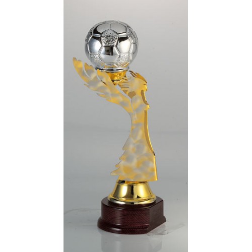 ΤΡΟΠΑΙΟ 6038 50cm -65%