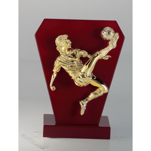 ΤΡΟΠΑΙΟ 6062 28cm -50%