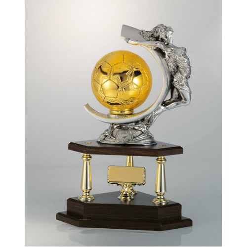 ΤΡΟΠΑΙΟ 6020 51cm -60%